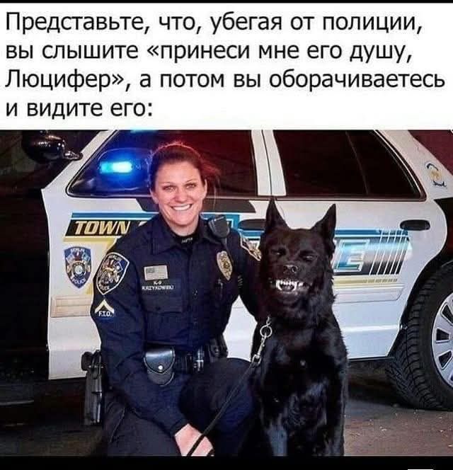Жена принесла бутерброд, я спросил: «Автопортрет?» Ночью сегодня с котом на кухне.