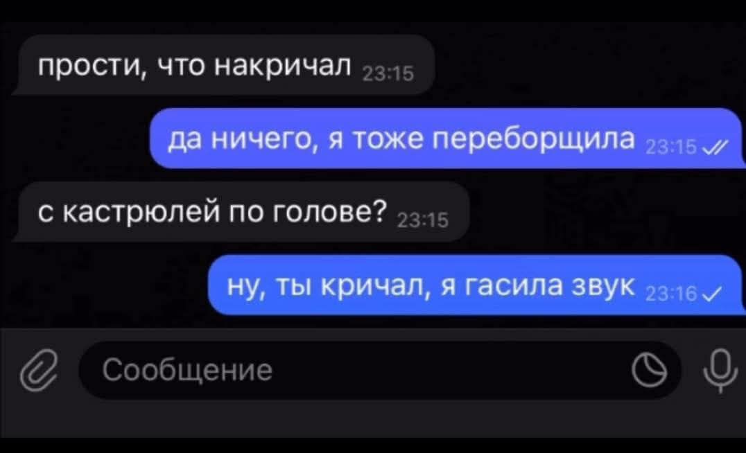 прости, что накричал
да ничего, я тоже переборщила
с кастрюлей по голове?
ну, ты кричал, я газила звук