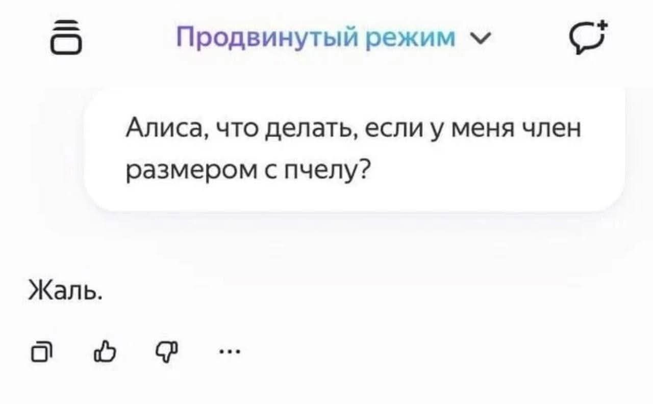 Алиса, что делать, если у меня член размером с пчелу? Жаль.