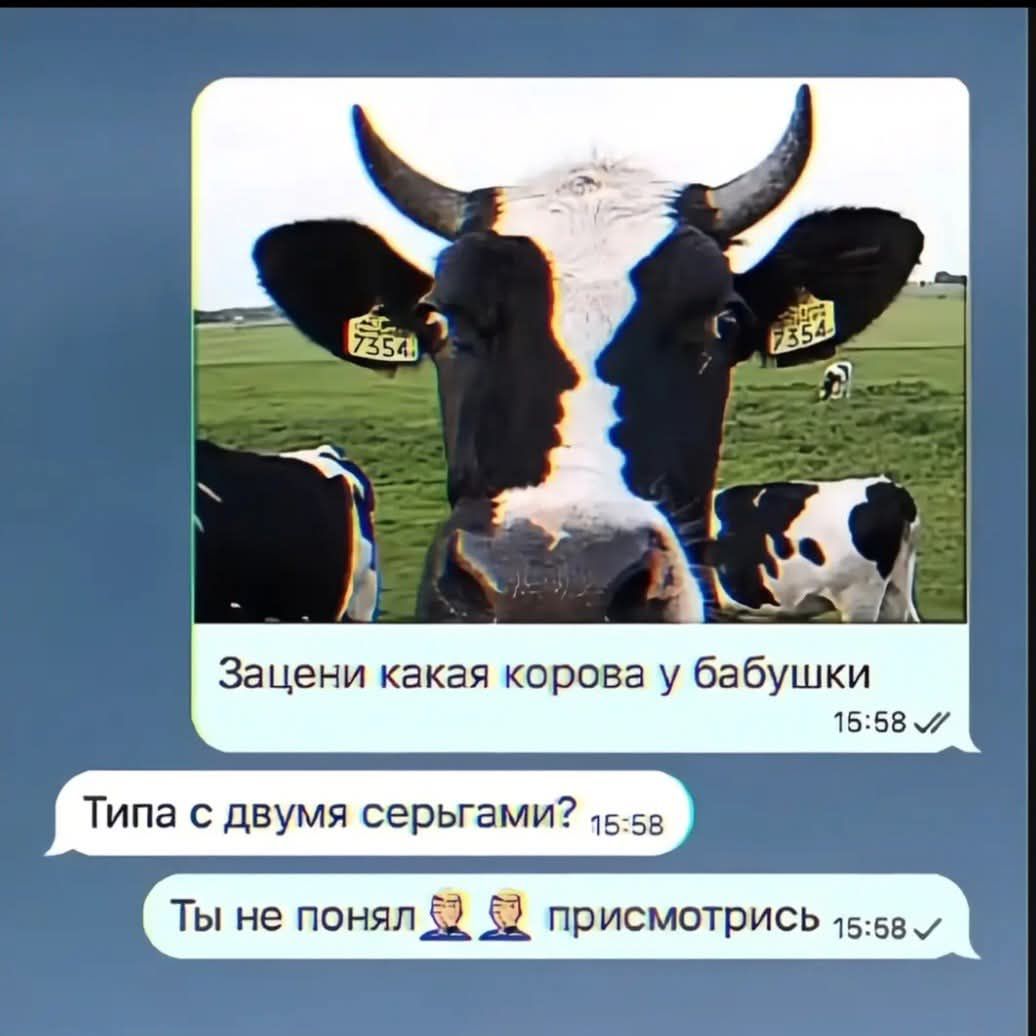 Зацени какая корова у бабушки
Типа с двумя серьгами?
Ты не понял
присмоторись