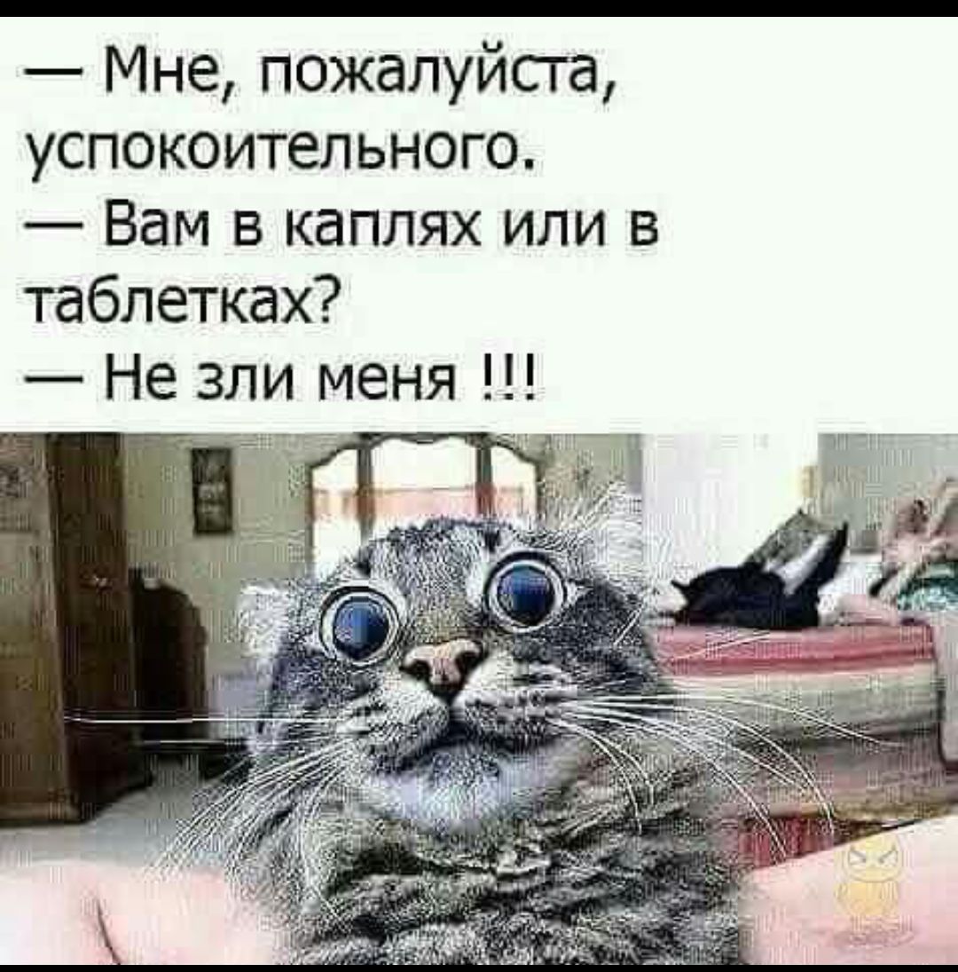 — Мне, пожалуйста, успокоительного. — Вам в каплях или в таблетках? — Не зли меня!!!