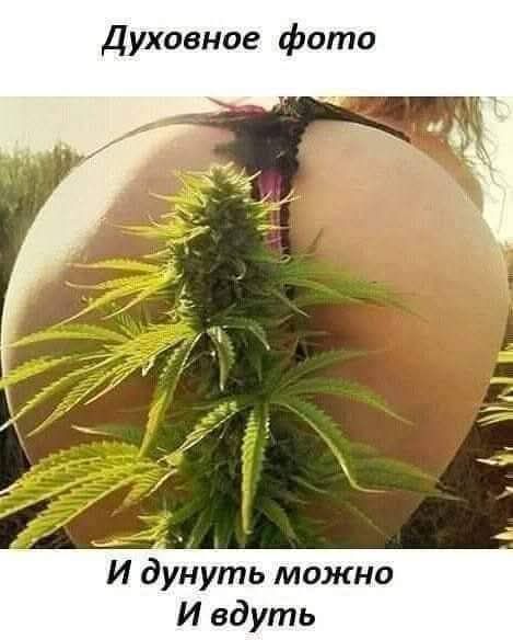 Духовное фото
И дунуть можно
И вдуть
