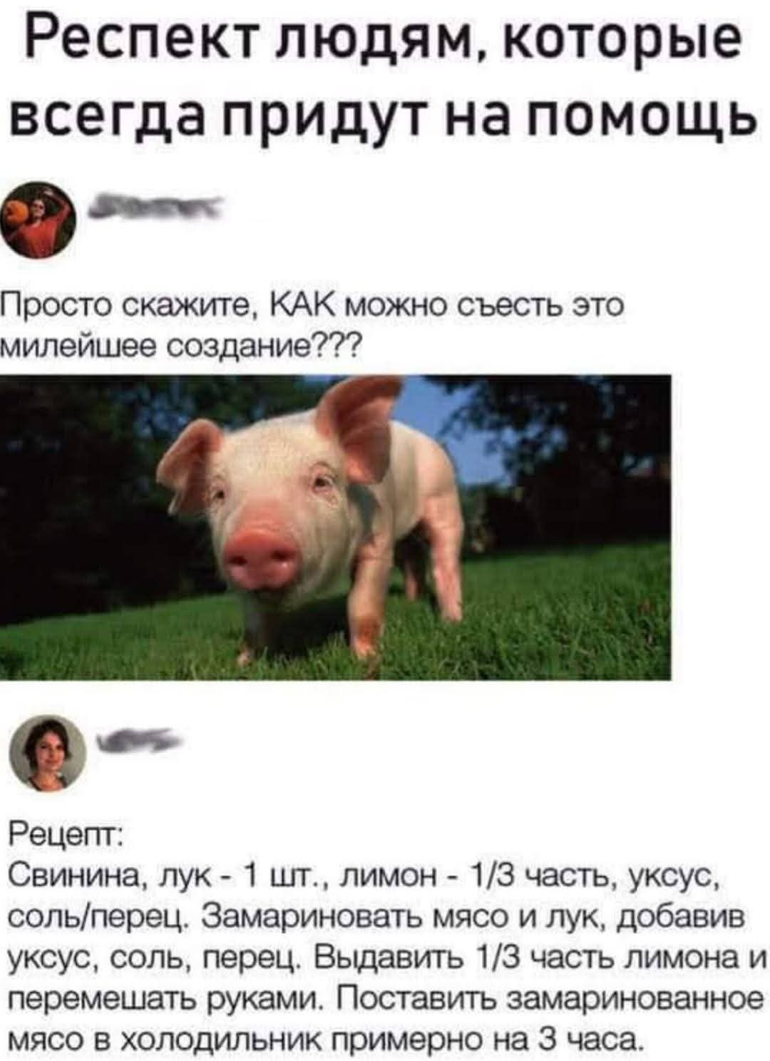 Респект людям, которые всегда придут на помощь. Просто скажите, КАК можно съесть это милейшее создание??? Рецепт: Свинина, лук - 1 шт., лимон - 1/3 часть, уксус, соль/перец. Замариновать мясо и лук, добавив уксус, соль, перец. Выдавить 1/3 часть лимона и перемешать руками. Поставить замаринованное мясо в холодильник примерно на 3 часа.