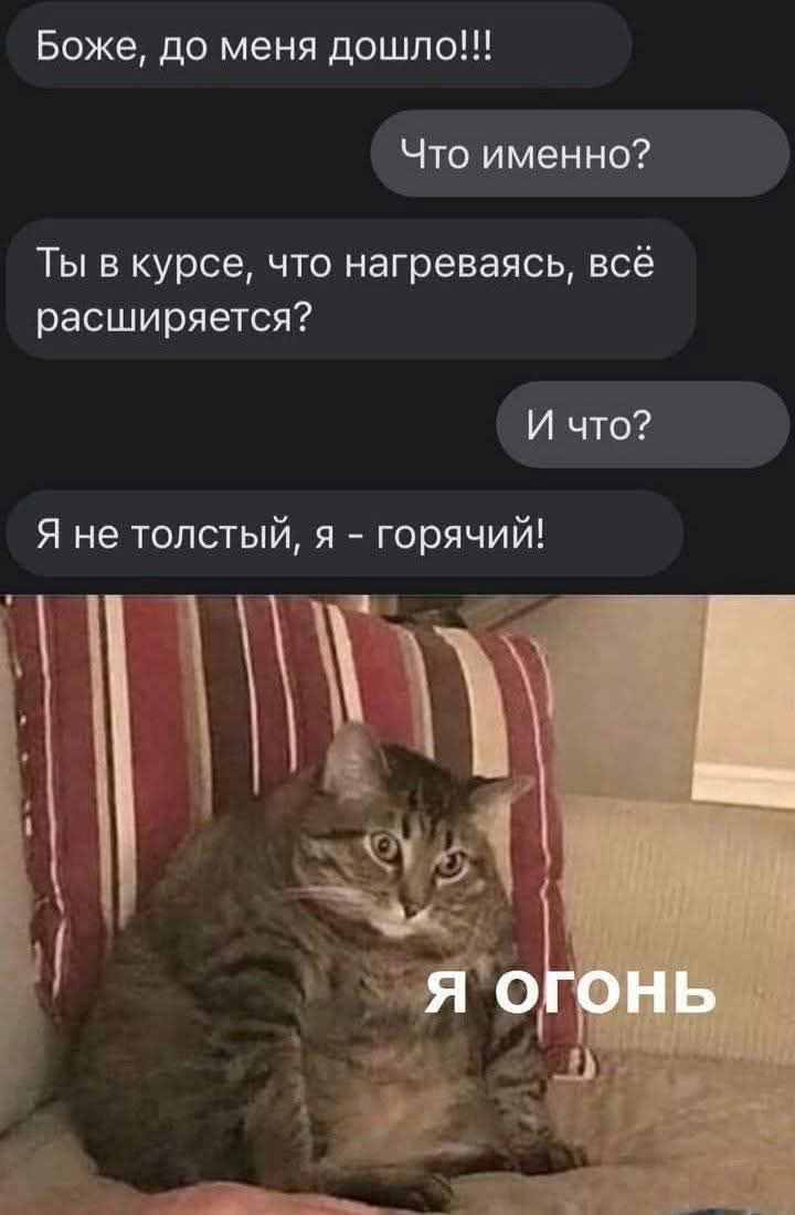 Боже, до меня дошло!!!
Что именно?
Ты в курсе, что нагреваешься, всё расширяется?
И что?
Я не толстый, я - горячий!
я огонь