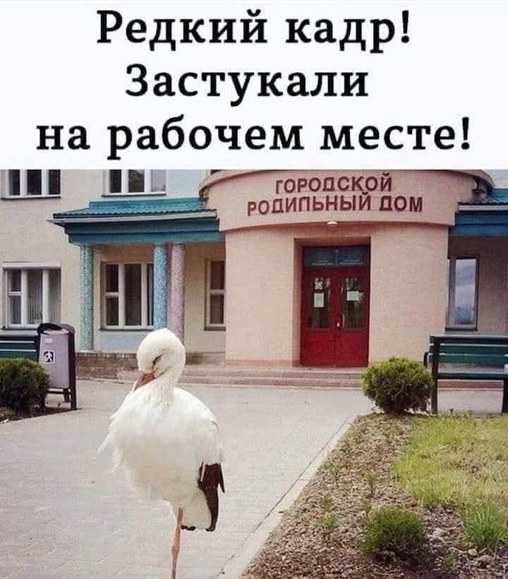Редкий кадр! Застукали на рабочем месте! Городской родильный дом