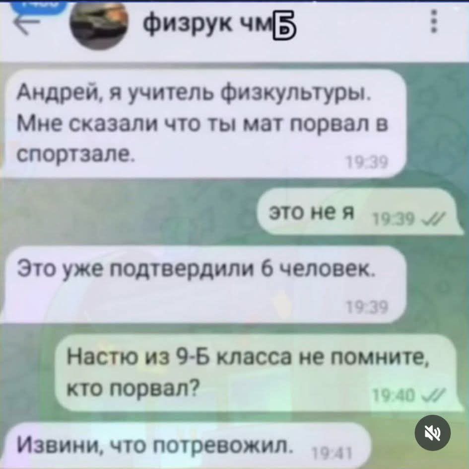 Андрей, я учитель физкультуры. Мне сказали, что ты мат порвал в спортзале.

это не я

Это уже подтвердили 6 человек.

Настю из 9-Б класса не помните, кто порвал?

Извини, что потрубил.