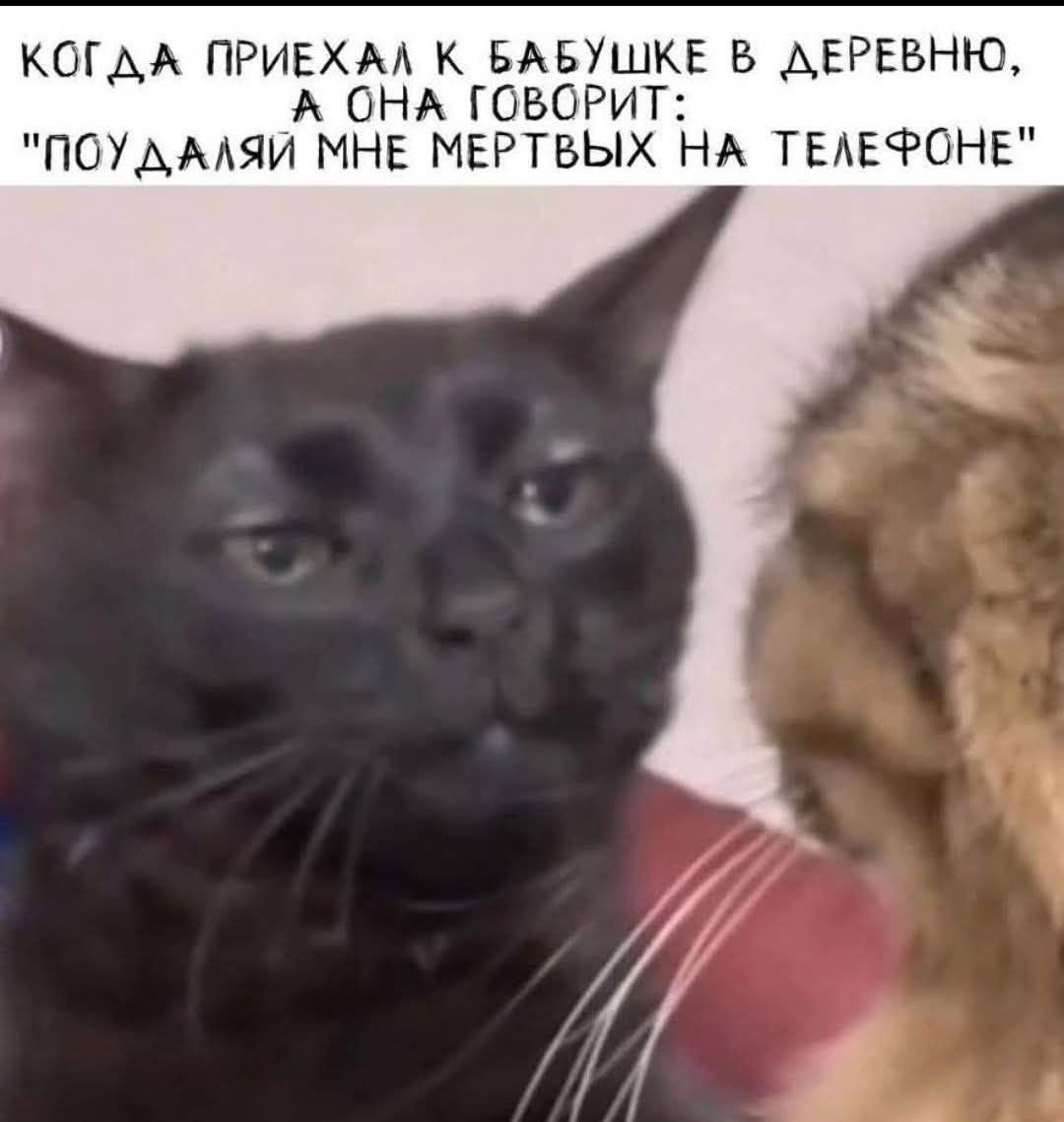Когдa приехал к бабушке в деревню, а она говорит: 