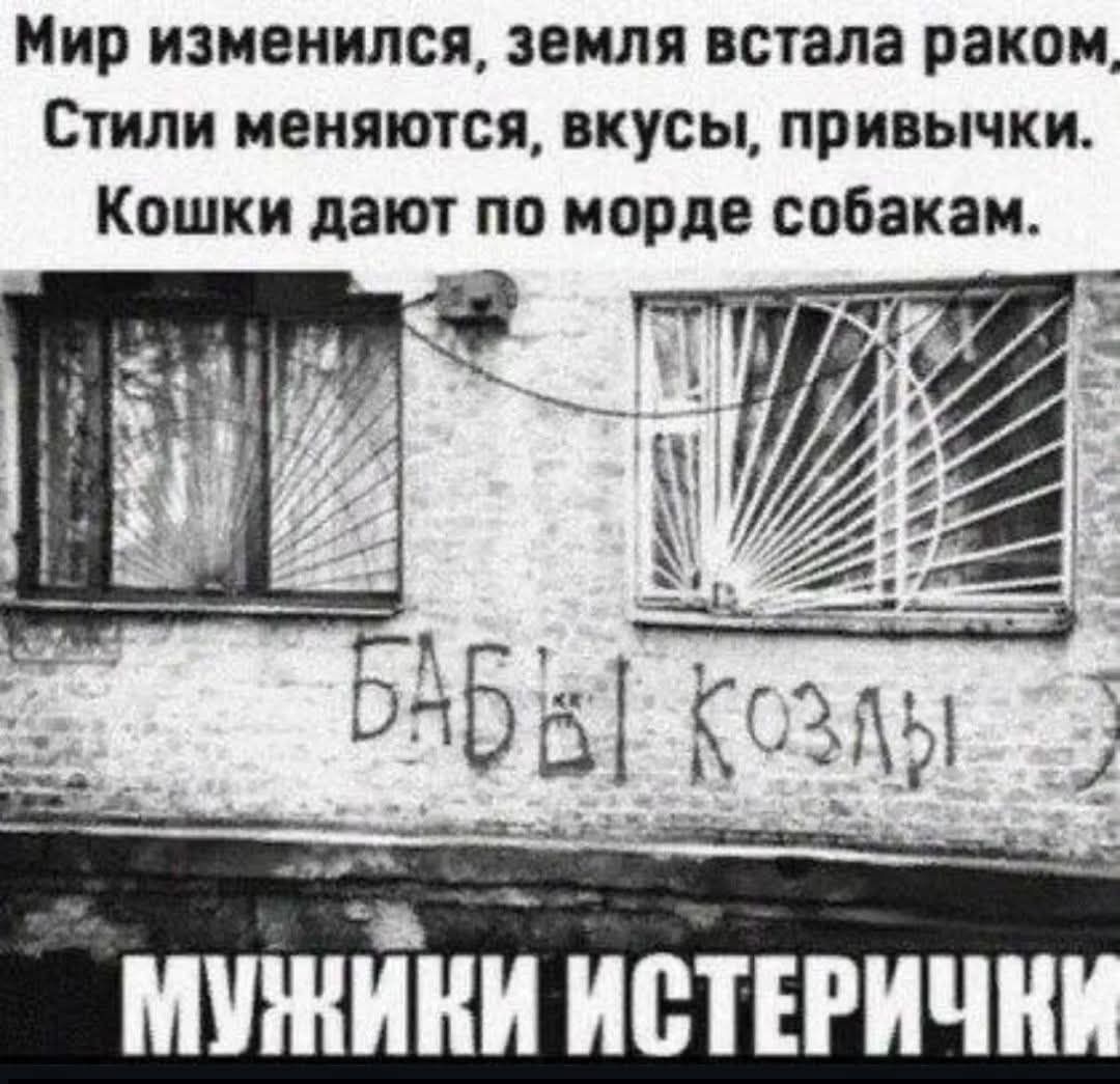 Мир изменился, земля встала раком, стили меняются, вкусы, привычки. Кошки дают по морде собакам.
БАБЫ КОЗЛЫ
МУЖИКИ ИСТЕРИЧКИ