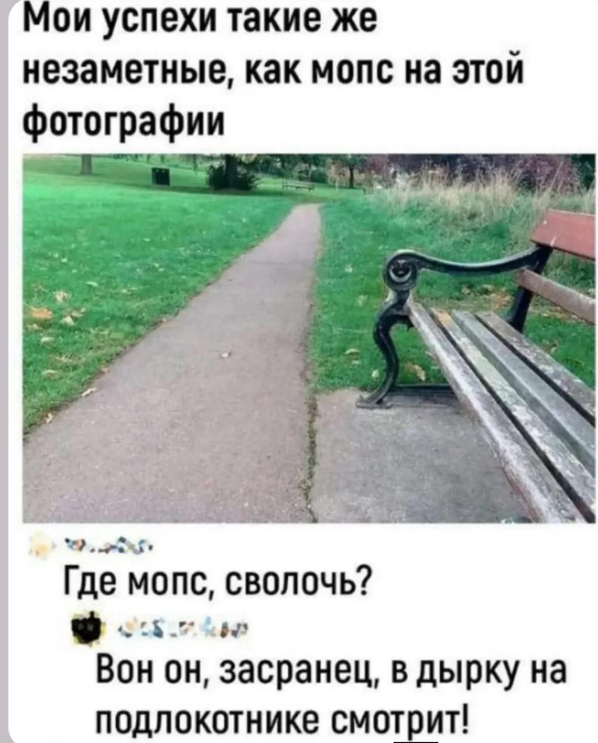 Мои успехи такие же незаметные, как мопс на этой фотографии

Где мопс, сволочь?
Вон он, засранец, в дырку на подлокотнике смотрит!
