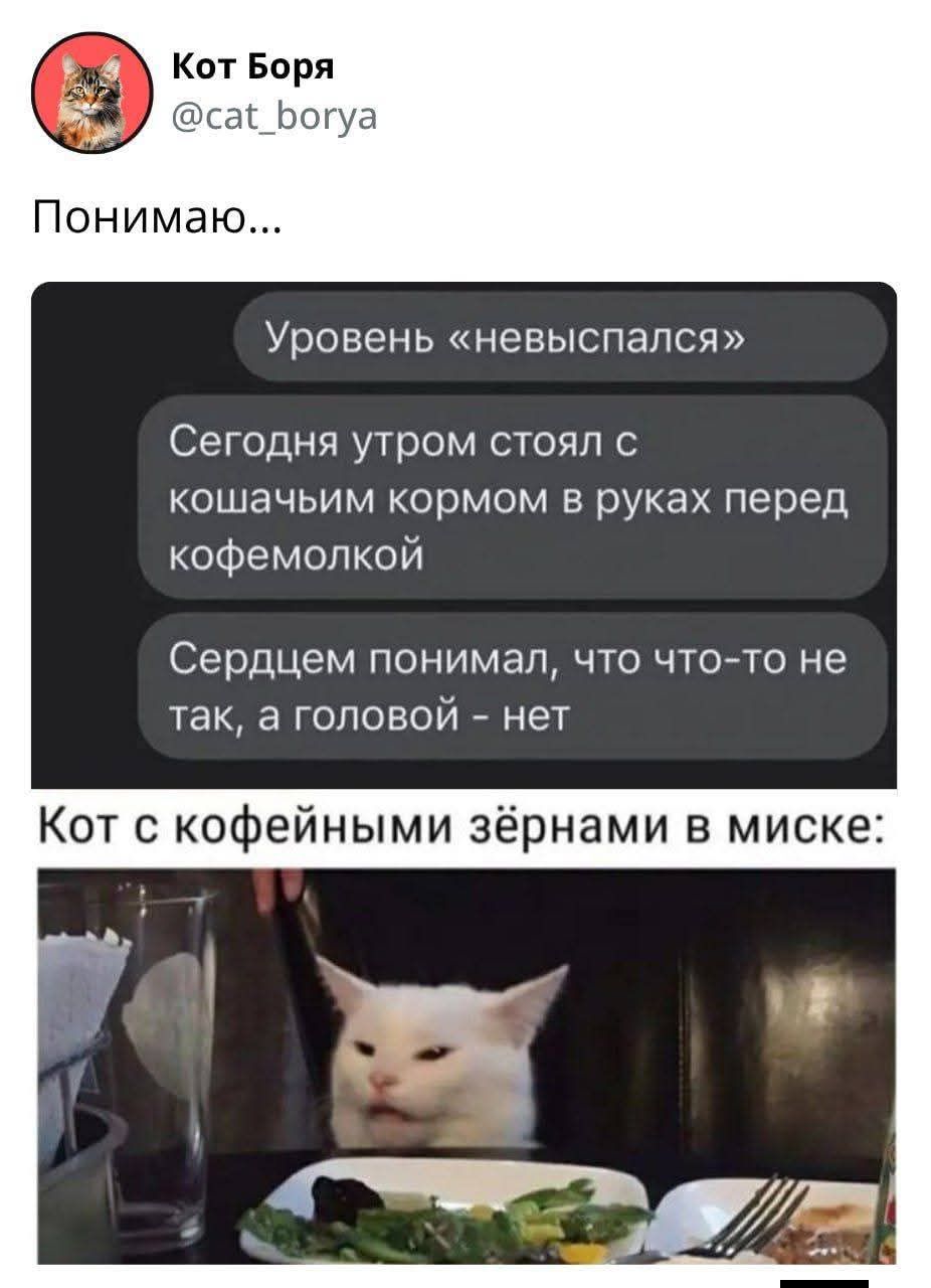 Уровень «невыпався»
Сегодня утром стоял с кошачьим кормом в руках перед кофемолкой
Сердцем понимал, что что-то не так, а головой - нет
Кот с кофейными зёрнами в миске:
