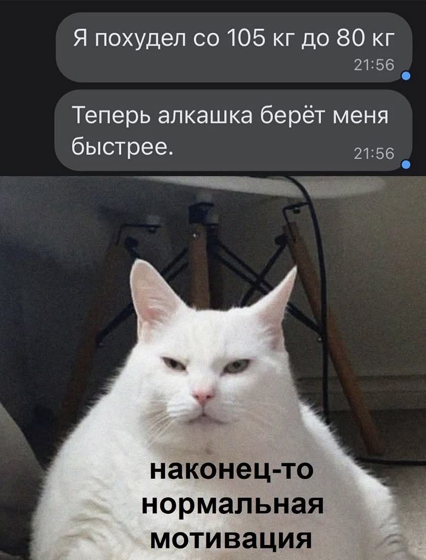 Я похудел со 105 кг до 80 кг
Теперь алкашке берёт меня быстрее.
наконец-то нормальная мотивация