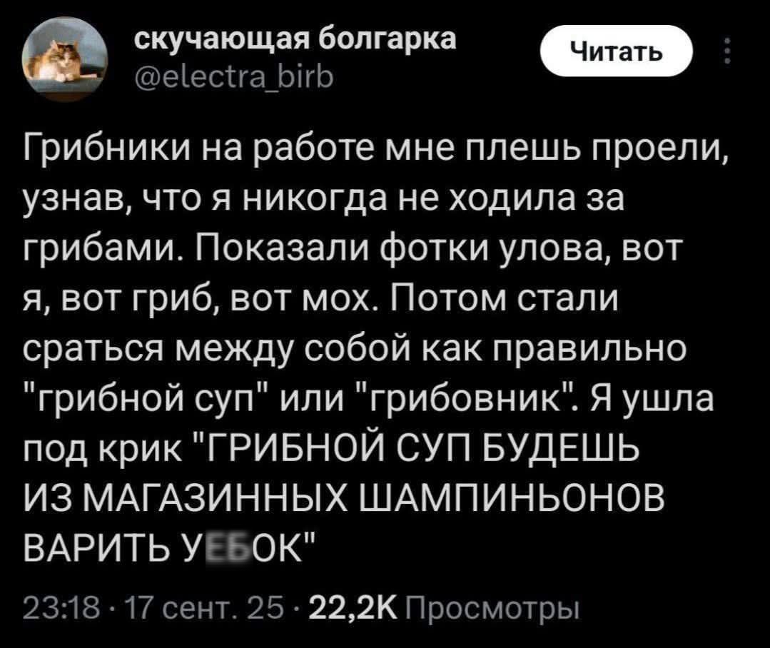 Грибники на работе мне плешь провели, узнав, что я никогда не ходила за грибами. Показали фотки улова, вот я, вот гриб, вот мох. Потом стали сраться между собой как правильно 