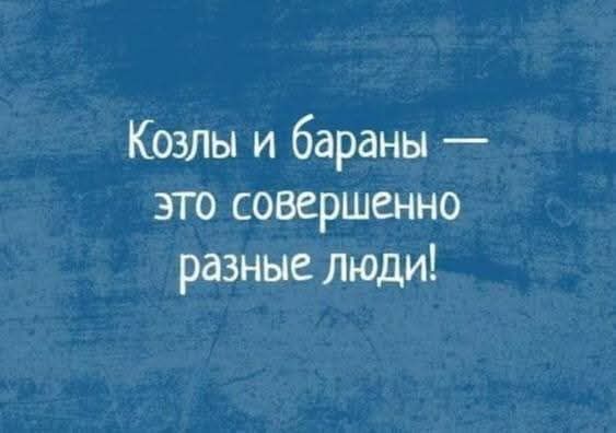 Козлы и бараны — это совершенно разные люди!
