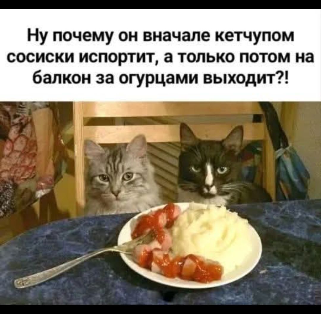 Ну почему он вначале кетчупом сосиски испортит, а только потом на балкон за огурцами выходит?!