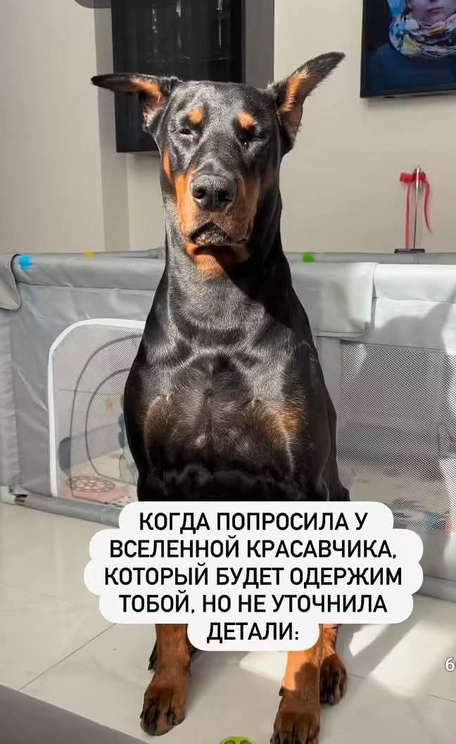 КОГДА ПОПРОСИЛА У ВСЕЛЕННОЙ КРАСАВЧИКА, КОТОРЫЙ БУДЕТ ОДЕРЖАТЬ ТОБОЙ, НО НЕ УТОЧНИЛА ДЕТАЛИ: