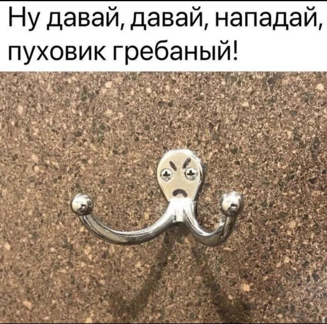 Ну давай, давай, нападгай, пуховик гребаный!