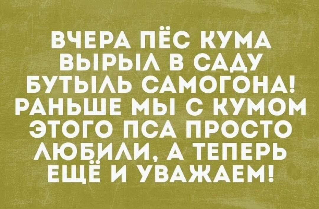 Вчера пёс Кума вырыл в саду бутылку самогона! Раньше мы с Кумом этого пса просто любили. А теперь ещё и уважаем!