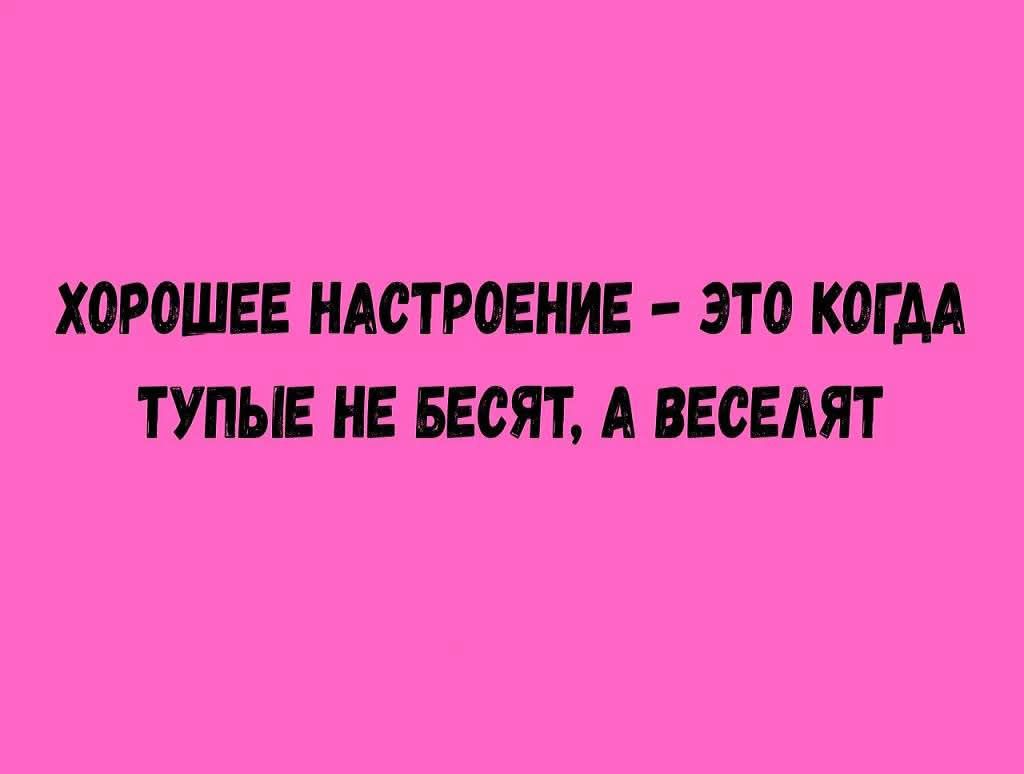 ХОРОШЕЕ НАСТРОЕНИЕ - ЭТО КОГДА ТУПЫЕ НЕ БЕСЯТ, А ВЕСЕЛЯТ