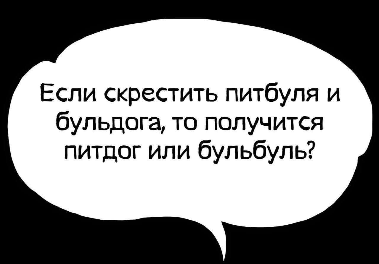 Если скрестить питбуля и бульдога, то получится питдог или бульбуль?