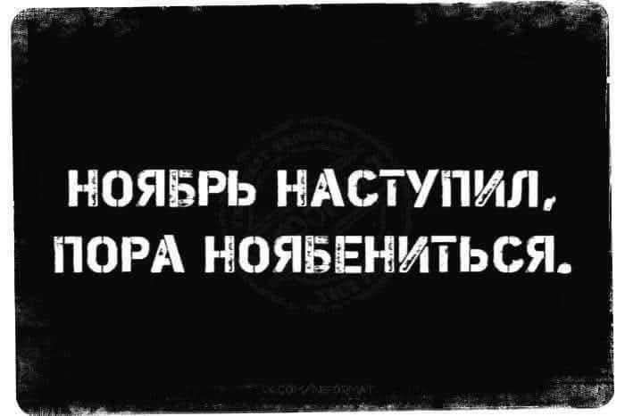 НОЯБРЬ НАСТУПИЛ, ПОРА НОЯБЕНИТЬСЯ.