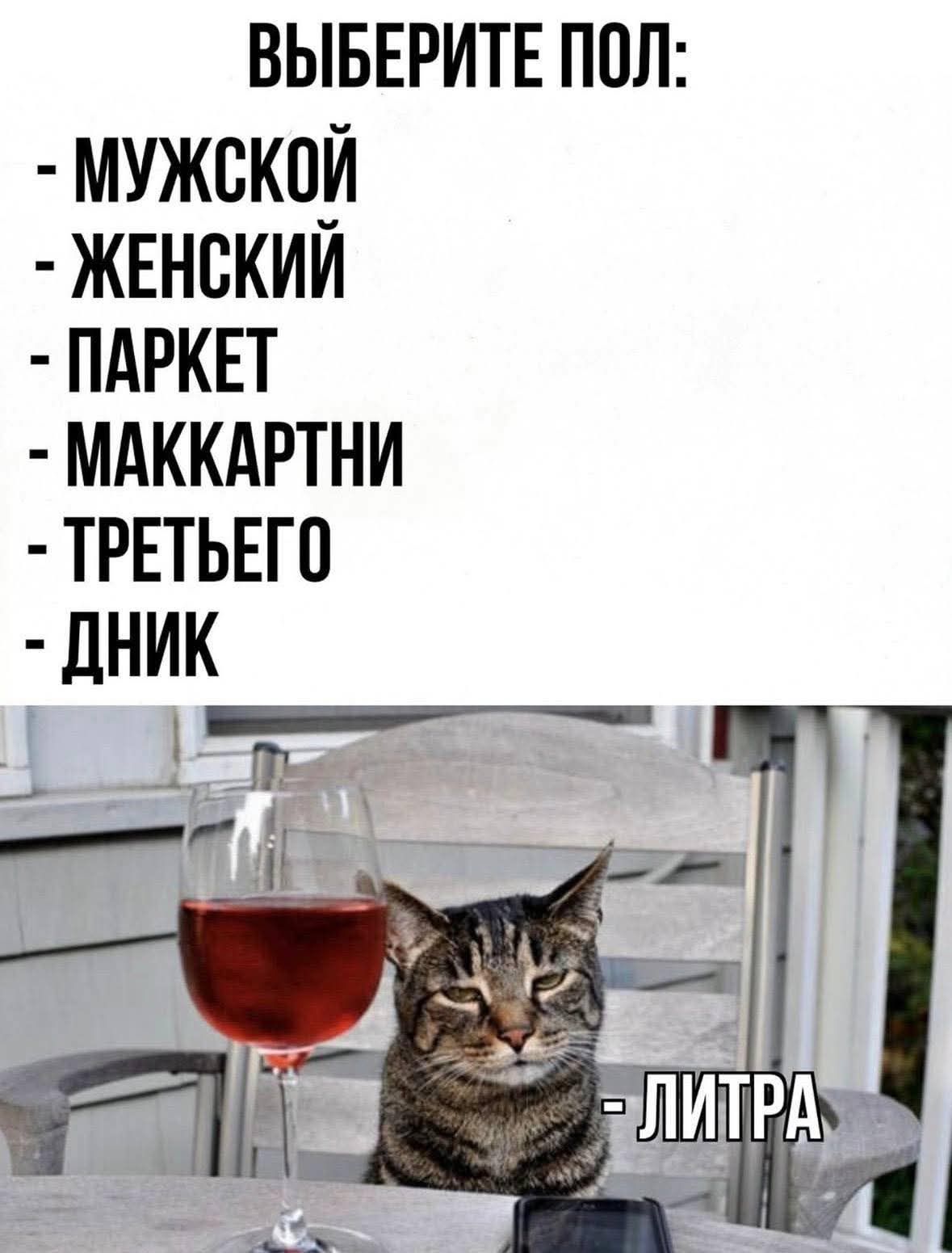 ВЫБЕРИТЕ ПОЛ: - МУЖСКОЙ - ЖЕНСКИЙ - ПАРКЕТ - МАККАРТИ - ТРЕТЬЕГО - ДНИК - ЛИТРА