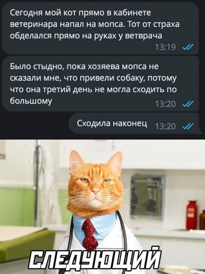 Сегодня мой кот прямо в кабинете ветеринара напал на мопса. Тот от страха обделался прямо на руках у ветеринара. Было стыдно, пока хозяева мопса не сказали мне, что привели собаку, потому что она три дня не могла сходить по большому. Сходила наконец