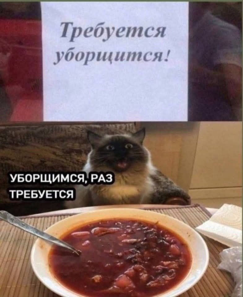 Требуется уборщится!
УБОРЩИМСЯ, РАЗ ТРЕБУЕТСЯ