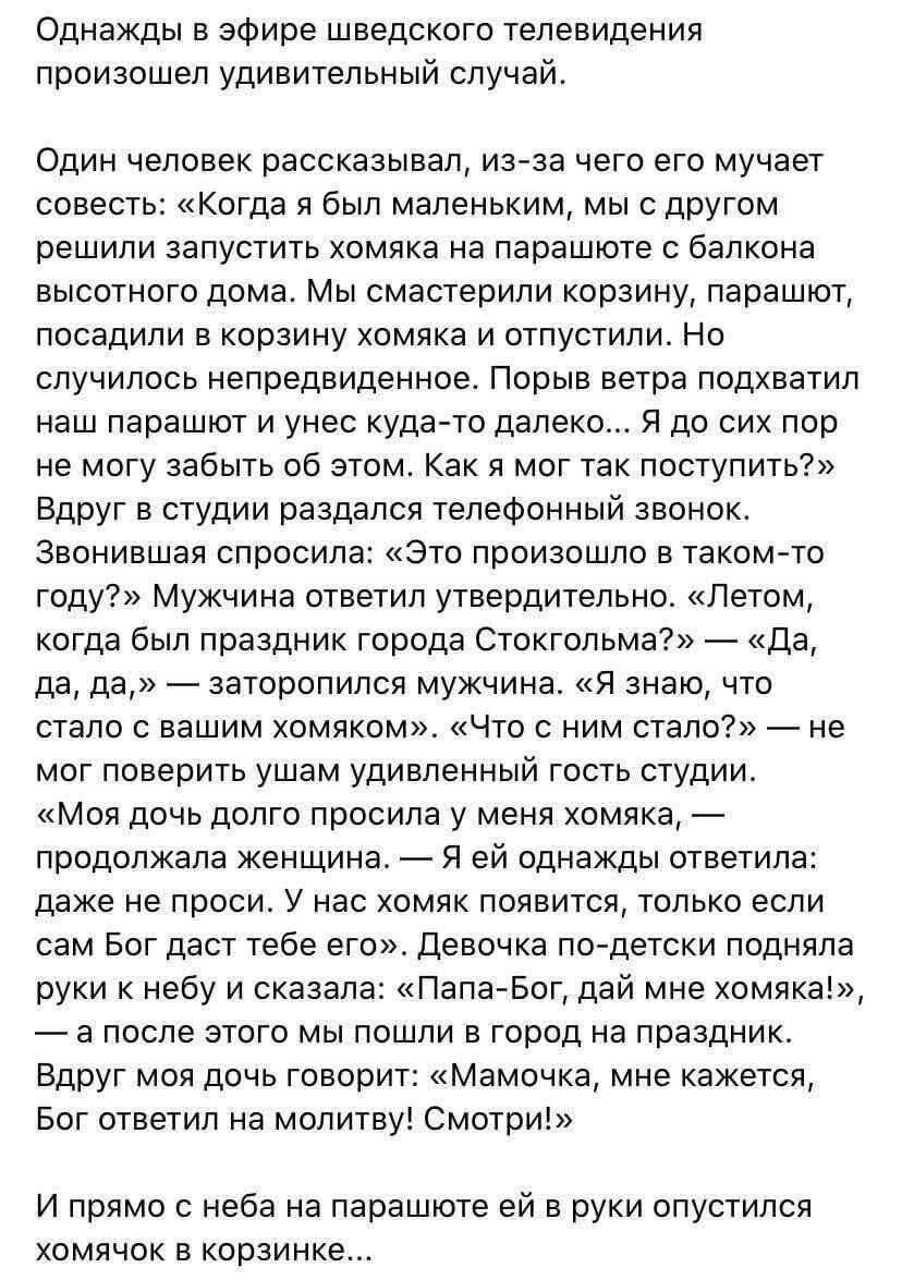 Однажды в эфире шведского телевидения произошёл удивительный случай. Мы смастерили корзину, парашют, посадили в корзину хомяка и отпустили.