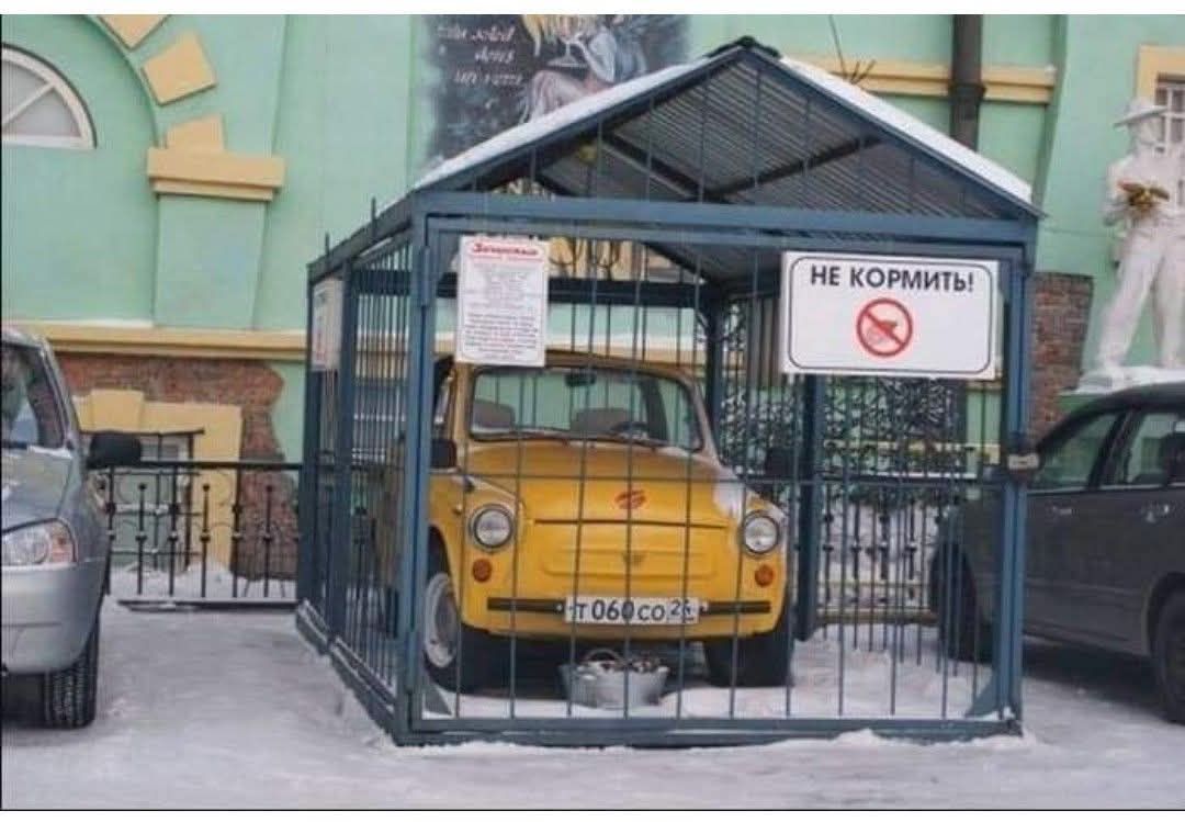 НЕ КОРМИТЬ!