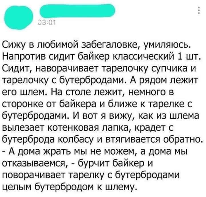 Сижу в любимой заговалоке, умиляюсь. Напротив сидит байкер классический 1 шт. Сидит, на тарелочке супчика и тарелочку с бутербродами. А рядом лежит его шлем. На столе лежит, немного в стороне от байкера и ближе к тарелке с бутербродами. И вот я вижу, как из шлема вылезает котенок, лапка крадёт с бутербродов колбасу и втягивается обратно. - А дома жрать мы не можем, а дома мы отказываваемся, - бурчит байкер и поворачивает тарелку с бутербродами целым бутербродом к шлему.