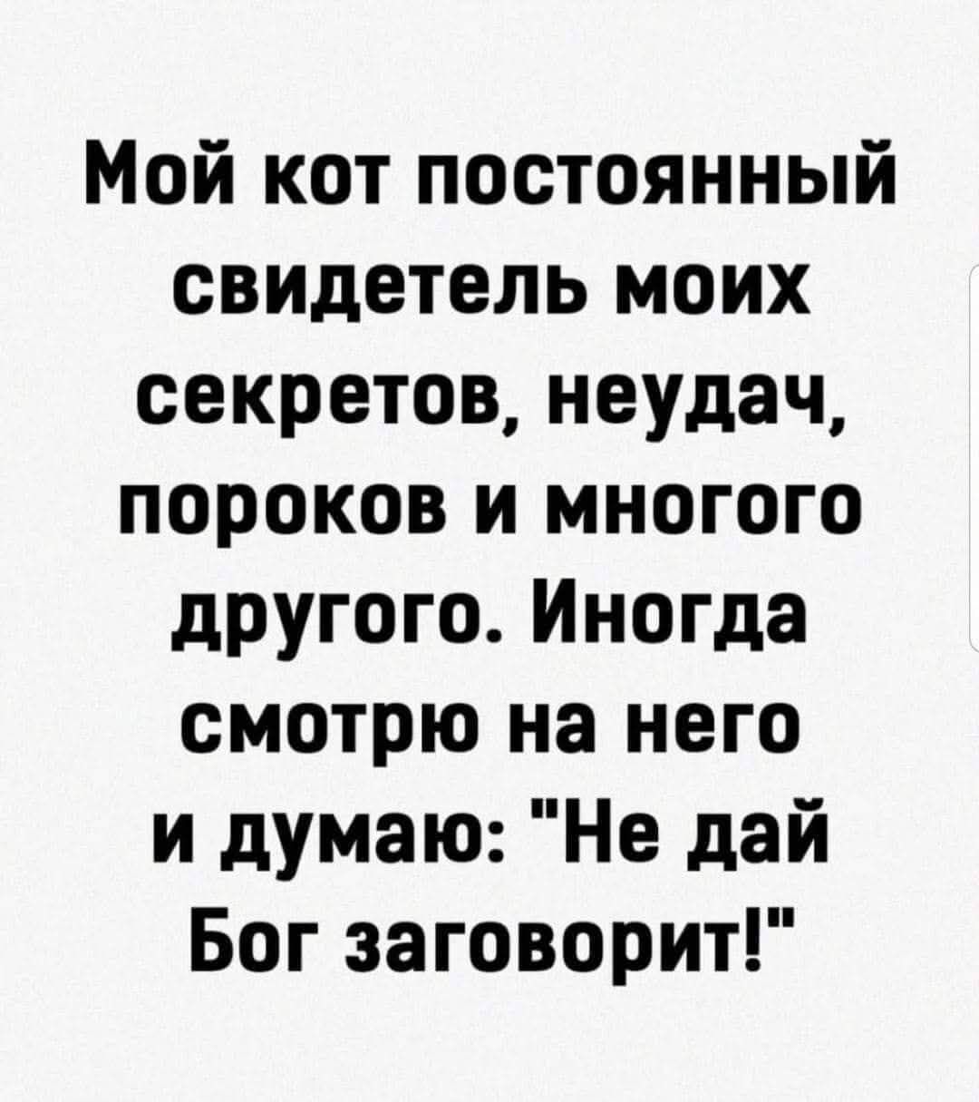 Мой кот постоянный свидетель моих секретов, неудач, пороков и многое другого. Иногда смотрю на него и думаю: 