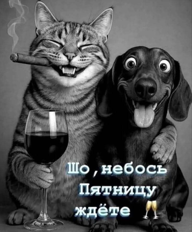 Шо, небось Пятницу ждёте