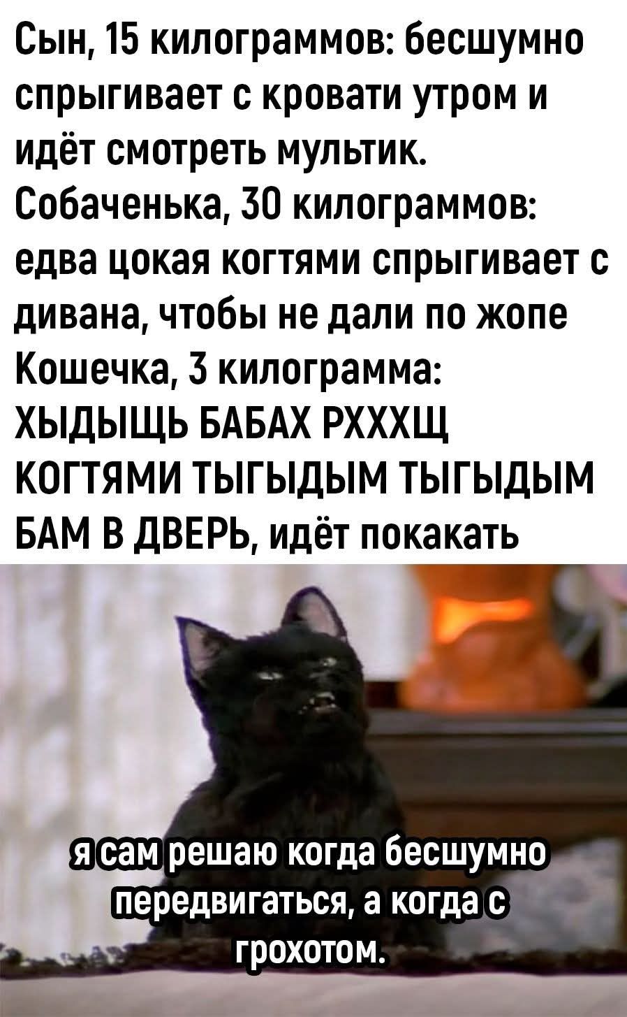 Сын, 15 килограммов: бесшумно спрыгивает с кровати утром и идёт смотреть мультик. Собаченька, 30 килограммов: едва цокая котятами спрыгивает с дивана, чтобы не дать по жопе. Кошечка, 3 килограмма: ХЫДЫШЬ БАБАХ РХХХЦ КОТЯМИ ТЫГЫДЫМ ТЫГЫДЫМ БАМ В ДВЕРЬ, идёт покакать. Я сам решаю когда бесшумно передвигаться, а когда с грохотом.