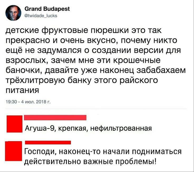 детские фруктовые пюрешки это так прекрасно и очень вкусно, почему никто ещё не задумался о создании версии для взрослых, зачем мне эти крошечные баночки, давайте уже наконец забабахаем трёхлитровую банку этого райского питания. Агуша-9, крепкая, нефильтрованная. Господи, наконец-то начали подниматься действительно важные проблемы!