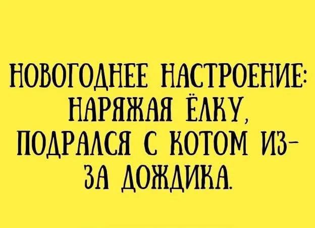 НОВОГОДНЕЕ НАСТРОЕНИЕ: НАРЯЖАЯ ЁЛКУ, ПОДРАЛСЯ С КОТОМ ИЗ-ЗА ДОЖДИКА.