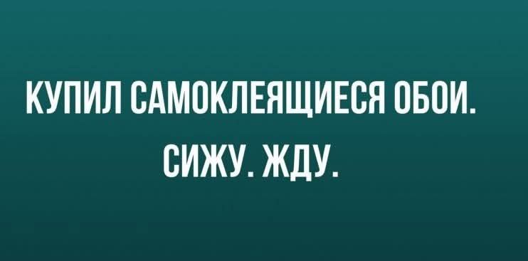 КУПИЛ САМОКЛЕЯЩИЕСЯ ОБОИ. СИЖУ. ЖДУ.