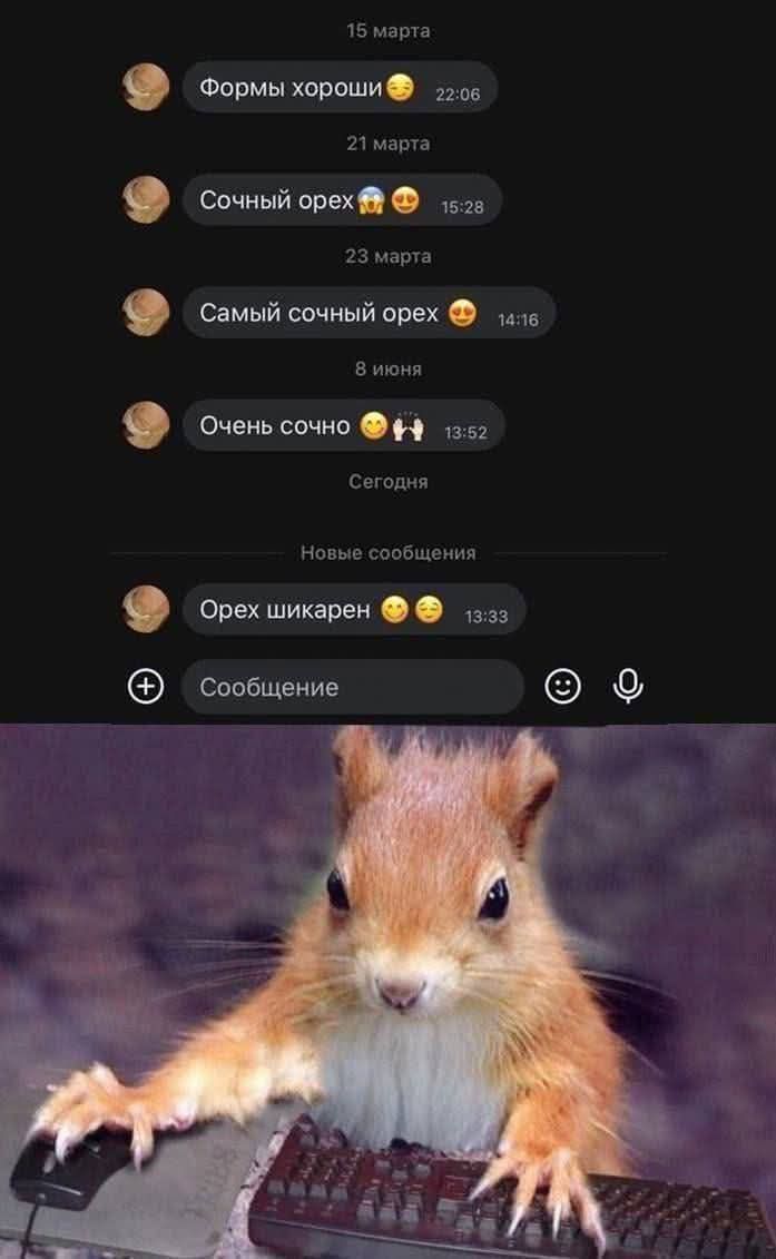 Формы хороши 😌 22:06
Сочный орех 😱😍 15:28
Самый сочный орех 😍 14:16
Очень сочо 13:52
Ореш шикарен 😯😆 13:33
Сообщение