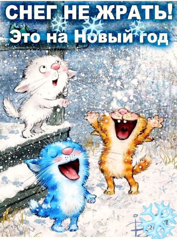 СНЕГ НЕ ЖРАТЬ! Это на Новый год