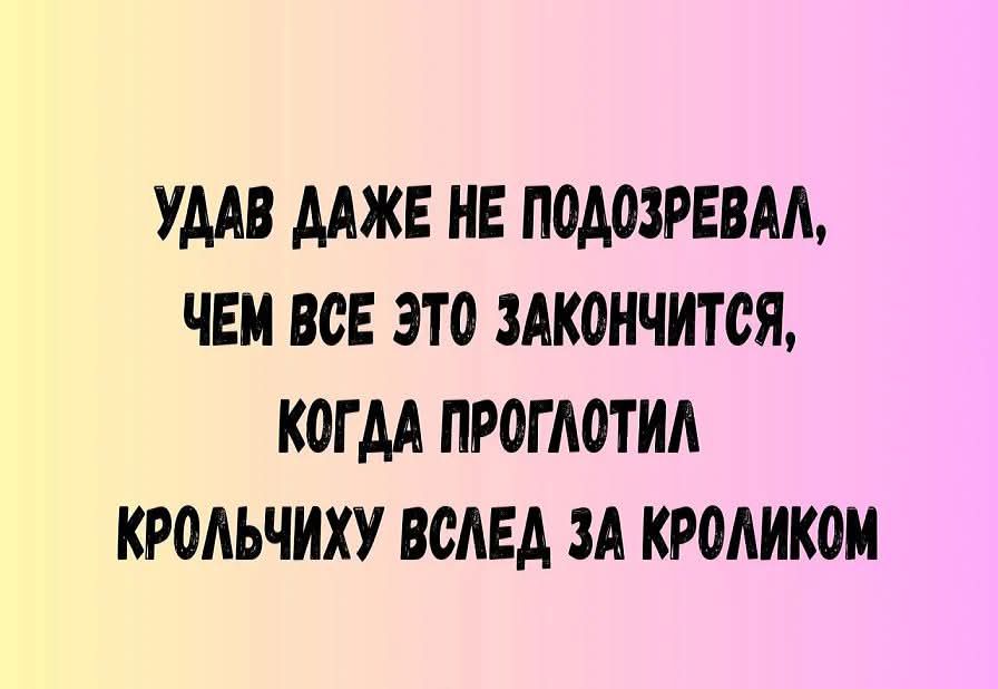 Удав даже не подозревал, чем все это закончится, когда проглотил крольчицу вслед за кроликом