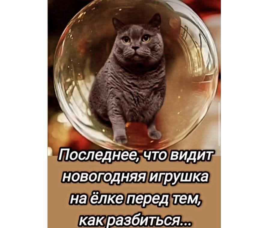 Последнее, что видит новогодняя игрушка на ёлке перед тем, как разбиться...