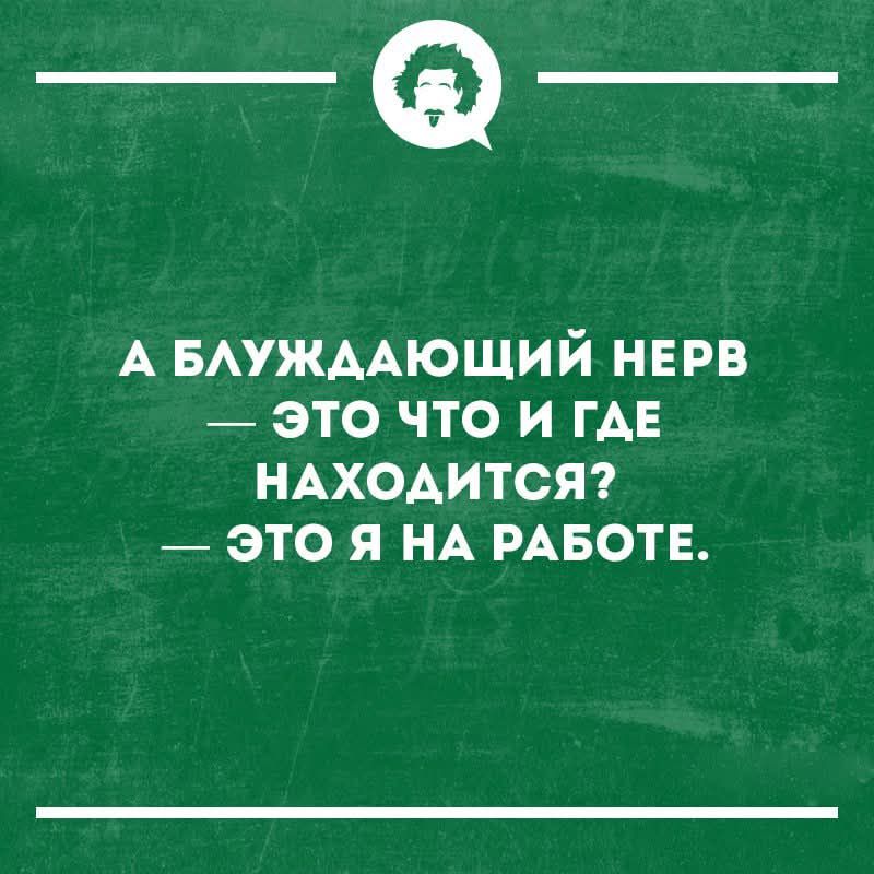 А БЛУЖДАЮЩИЙ НЕРВ ЭТО ЧТО И ГДЕ НАХОДИТСЯ? — ЭТО Я НА РАБОТЕ.