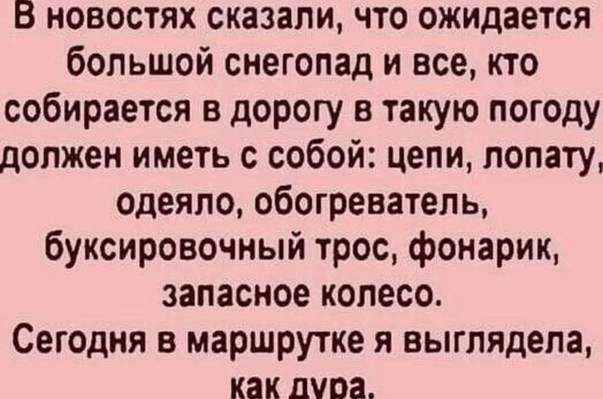 В новостях сказали, что ожидается большой снегопад и все, кто собирается в дорогу в такую погоду должен иметь с собой: цепи, лопату, одеяло, обогреватель, буксировочный трос, фонарик, запасное колесо. Сегодня в маршрутке я выглядела, как дура.