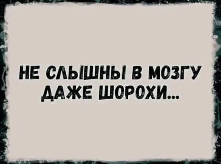 НЕ СЛЫШНЫ В МОЗГУ ДАЖЕ ШОРОХИ...