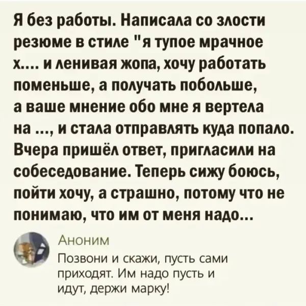 Я без работы. Написала со злости резюме в стиле 
