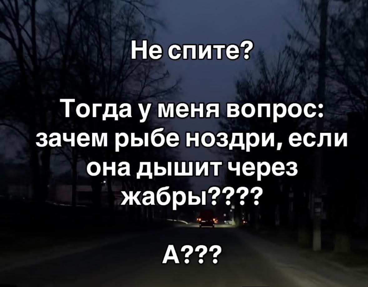 Не спите? Тогда у меня вопрос: зачем рыбе ноздри, если она дышит через жабры????? А????