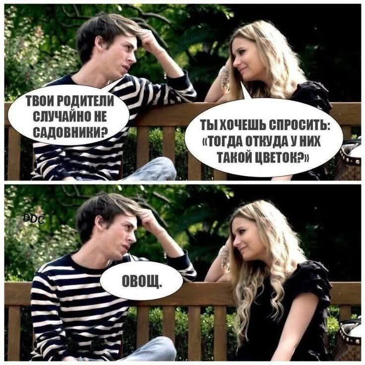 Твои родители случайно не садовники? Ты хочешь спросить: «Тогда откуда у них такой цветок?» Овощ.