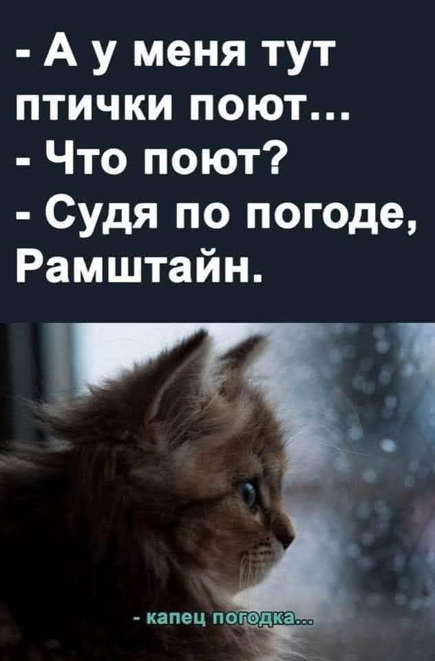 - А у меня тут птички поют... - Что поют? - Судя по погоде, Рамштайн. 
- капец погодка...