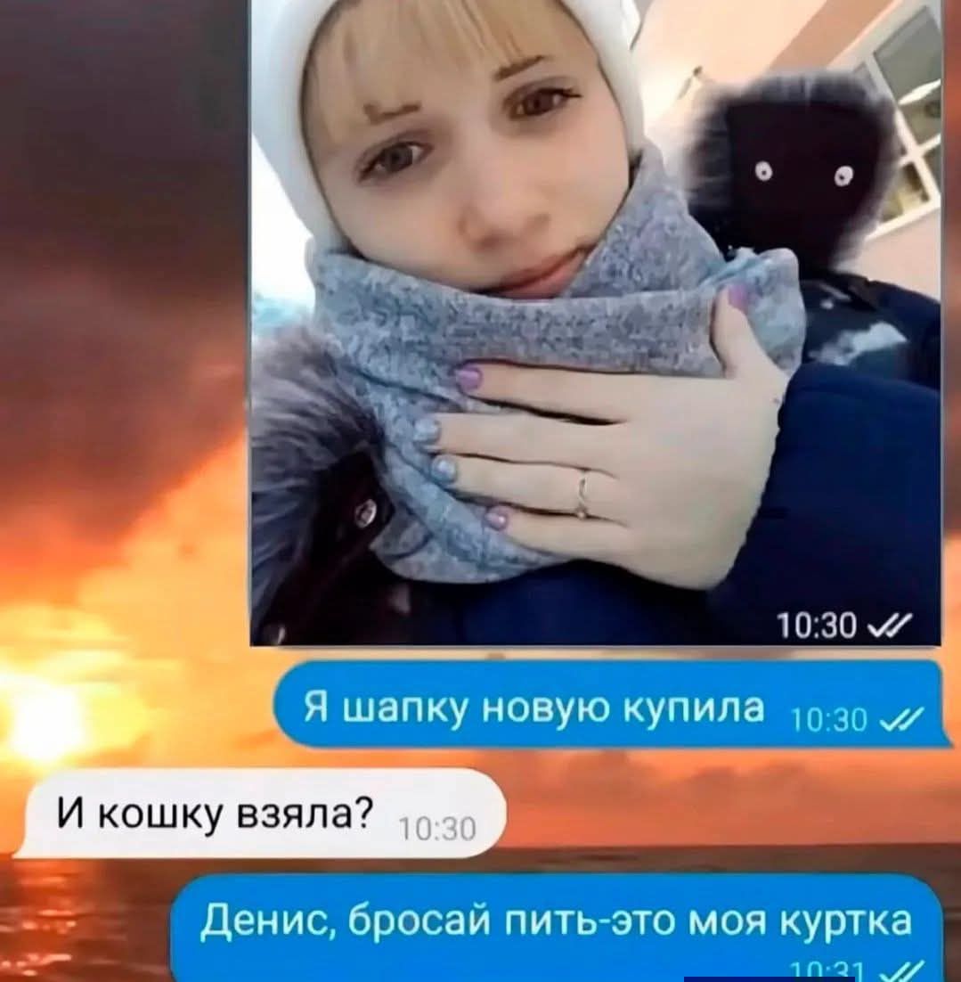 Я шапку новую купила
И кошку взяла?
Денис, бросай пить-это моя куртка