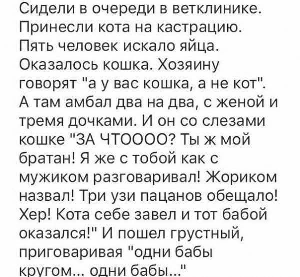 Сидели в очереди в ветклинике. Принесли кота на кастрацию. Пять человек искало яйца. Оказалось кошка. Хозяину говорят 