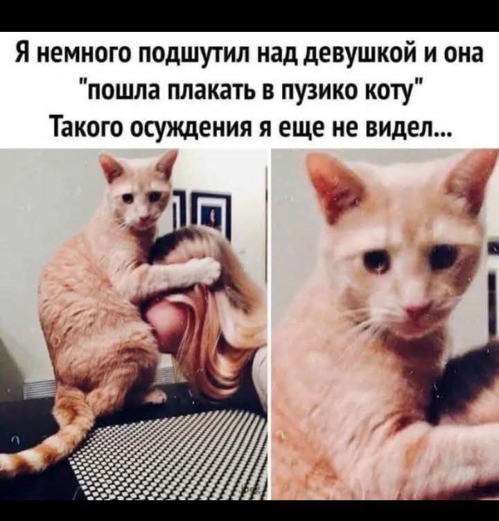 Я немного подшутил над девушкой и она 'пошла плакать в пузико коту' Такого осуждения я еще не видел...